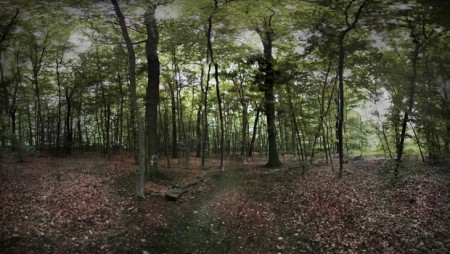 blog_runkeeper